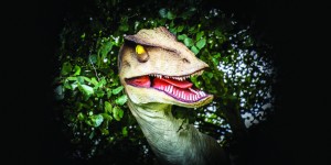 Raptor, Adventure Hunter Parties , Peterborough, Museum, Vivacity Peterborough